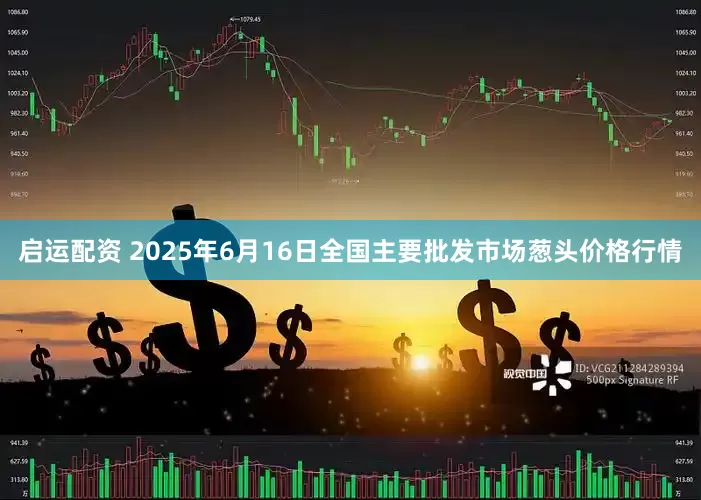 启运配资 2025年6月16日全国主要批发市场葱头价格行情