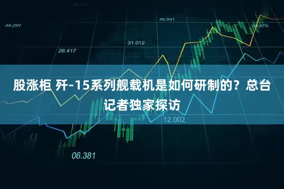 股涨柜 歼-15系列舰载机是如何研制的？总台记者独家探访
