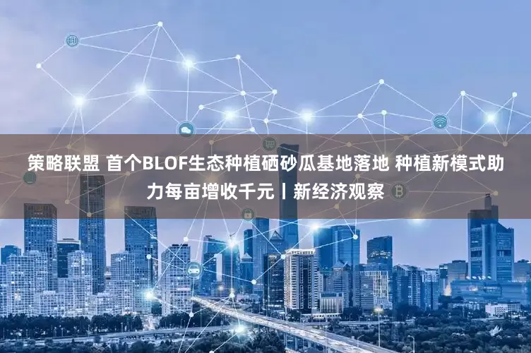 策略联盟 首个BLOF生态种植硒砂瓜基地落地 种植新模式助力每亩增收千元丨新经济观察