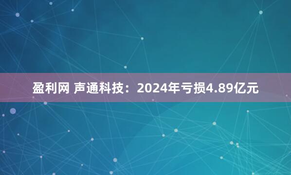 盈利网 声通科技：2024年亏损4.89亿元