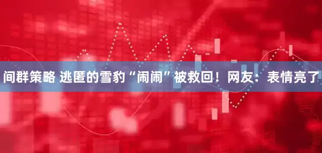 间群策略 逃匿的雪豹“闹闹”被救回！网友：表情亮了