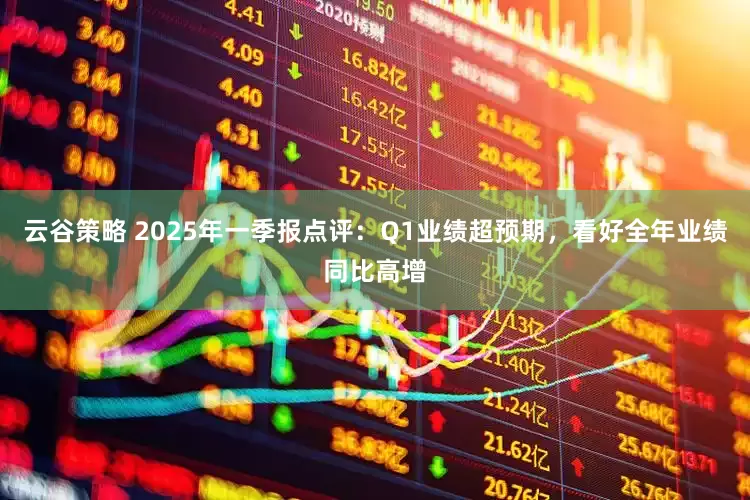 云谷策略 2025年一季报点评：Q1业绩超预期，看好全年业绩同比高增