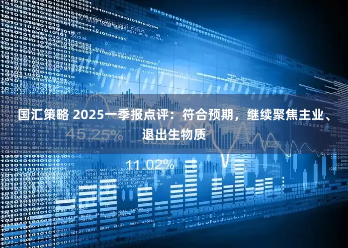 国汇策略 2025一季报点评：符合预期，继续聚焦主业、退出生物质